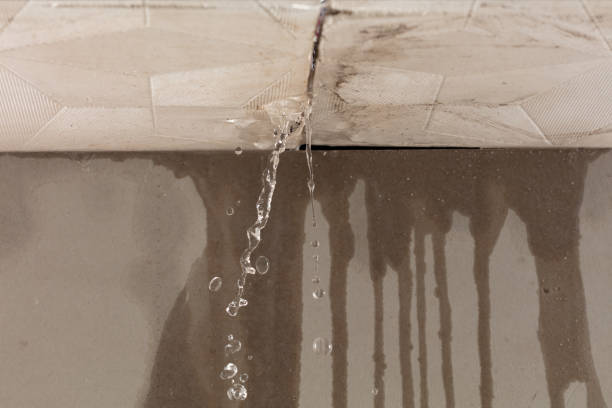 Professional Burst Pipe Cleanup technician working in Dante, SD